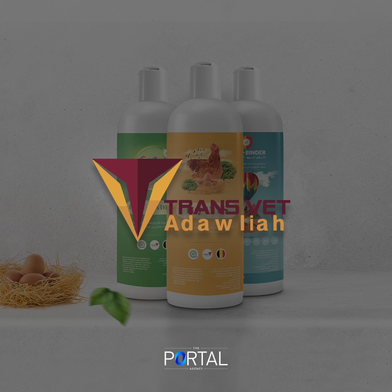 https://theportalagency.com/project/hq-vits-branding/